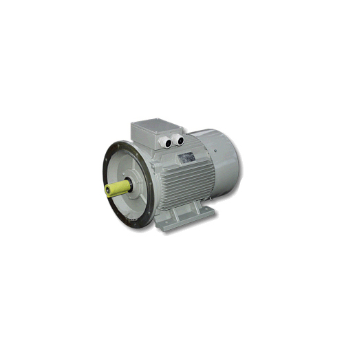 感应电机 循环电机 磁力电机 进口电机