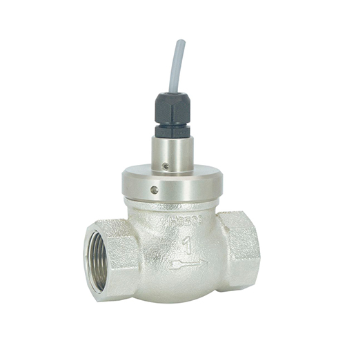 流量开关FF-...GR